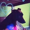 Blake Scott - @blakescott0 - TikTok