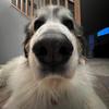 Blake Shipp - @blake.shipp - TikTok