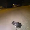 blake_simpson - @blake_simpson8 - TikTok