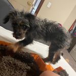 Blake Skinner - @blakeskinner10 - Instagram