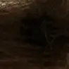 Scorpion - @blakesorrell8 - TikTok