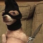 Blake Sparks - @blakeaspark_ - Instagram