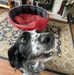 Blake Stanley - Facebook