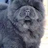 Blake_stollfuss1 baby - @blake_stollfuss - TikTok