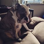 blake strait - @strait.blake - Instagram