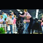 Blake Sutherland - @blake_sutherland_28 - Instagram