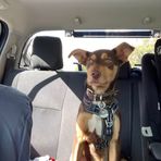 Blake Thomas - Facebook
