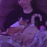 Blake Townsend - @blake_townsend23 - Instagram