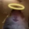 Blake - @.blake_warren - TikTok