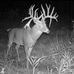 Blake Waycaster - Facebook