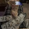 Blake - @blake.webster2 - TikTok