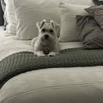 Blake Weeks - @roxybaddog17 - Instagram