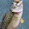 Blake Weeks - @blake.weeks7 - TikTok