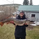 Blake Weimer - @blakes_fishies - Instagram