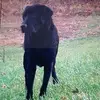 @blakewetzel0 - @blake_wetze201969 - TikTok