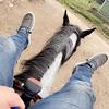 Blake weidner - @blakeweidner6 - TikTok