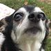 Blake Winkler - Facebook