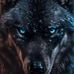 Blake Wolf - Facebook