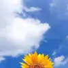 Blanca Arcos - @blanca.arcos55 - TikTok