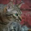Blanca Arcos - @blanca.arcos2 - TikTok