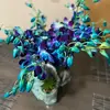 blanca.lee - @blanca.lee - TikTok
