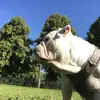 Blanca.leeee - @blanca..leeee - TikTok
