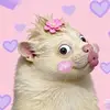 Luckyy - @blancalee7 - TikTok