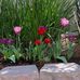 Blanca Moore - Facebook