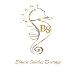 Blanca Sanchez Romera - @blancasanchez.dressage - Instagram