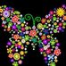Blanca Temple - Facebook