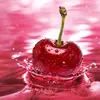 Explore Life - @blanchelopez1980 - TikTok