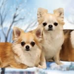 Blanche Montgomery - @plum.and.family - Instagram