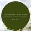 Blanche Morrison - @blanche.morrison - TikTok