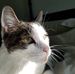 Blane Kelly - Facebook