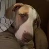 Blane Williams - @blane.williams3 - TikTok