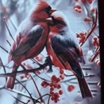 Blanka Clare - Facebook