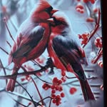 Blanka Clare - @bcnla - Instagram