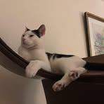 Clare Blacka - Facebook