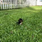 Blase Anderson - @blaseanderson13 - Instagram