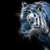 Blayne Thompson - Facebook