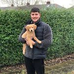 Blaze Lee - @blazeleonlee_ - Instagram