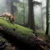 Blaze Lee - @blaze.lee6 - TikTok