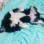 blaze mason - @me_is_king_blaze - Instagram