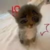 BlazeWard2 - @blazeward2 - TikTok