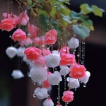 Blessy chacko - @bl.essy835 - Instagram