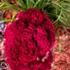 Blessy Thomas - @blessy.thomas - TikTok