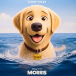 Morris the golden - @morris_the_bliss - Instagram