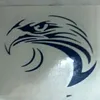 Blue Eagle - @blue.eagle092 - TikTok