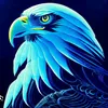 BLUE EAGLE - @saadjaan66 - TikTok