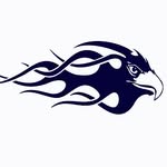 Blue Eagle Swim Team - @blueeagleswimteam - Instagram